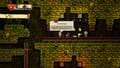Spelunky Screenshot 2