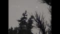 BACKROOMS VHS Screenshot 8