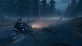 Days Gone Screenshot 13