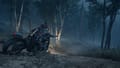 Days Gone Screenshot 16