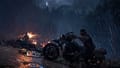 Days Gone Screenshot 21