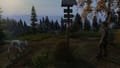 DayZ Screenshot 14