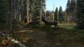 DayZ Screenshot 18