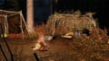 DayZ Screenshot 24
