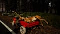 Ranch Simulator Screenshot 5