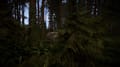 Sons Of The Forest Screenshot 7