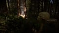 Sons Of The Forest Screenshot 6