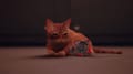 Stray Screenshot 15