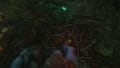 The Cursed Forest Screenshot 1
