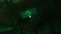 The Cursed Forest Screenshot 5