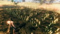 Valheim Screenshot 21