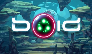 Boid