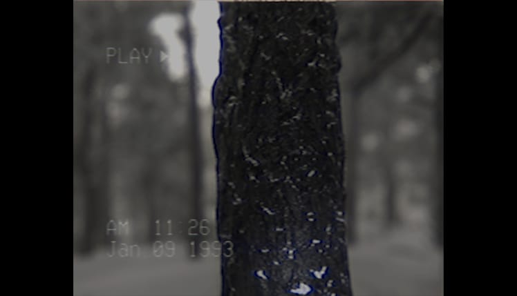 BACKROOMS VHS Screenshot 1