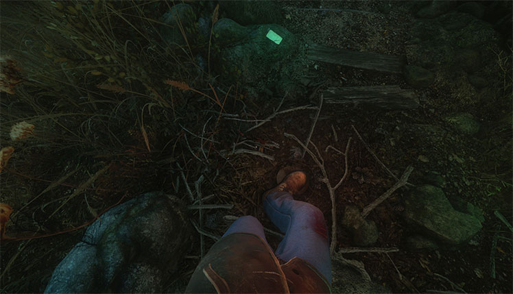 The Cursed Forest Screenshot 1