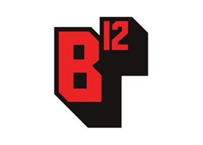 BlueTwelve Studio logo