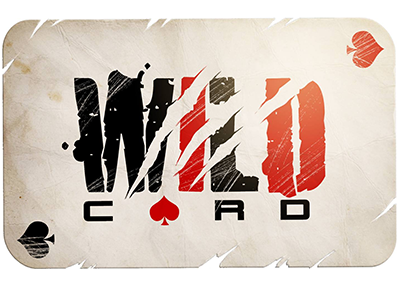 Studio Wildcard logo